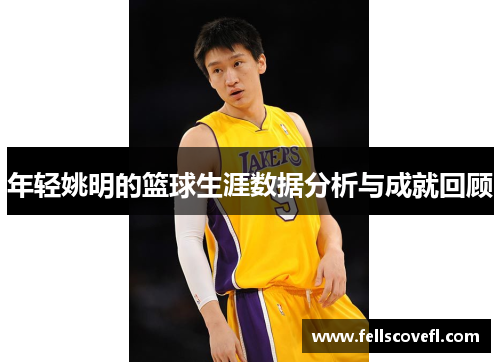 年轻姚明的篮球生涯数据分析与成就回顾