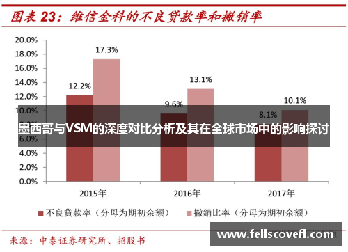 墨西哥与VSM的深度对比分析及其在全球市场中的影响探讨